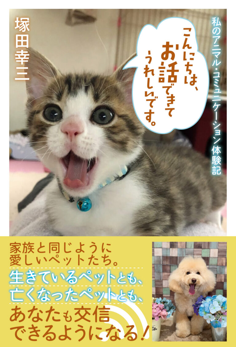 こんにちは、お話できてうれしいです。